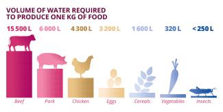 Water necessary volume to produce 1kg of food